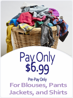 Special Offer for Blouses, Pants, Jackets, and Shirts